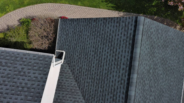 Best Roof Maintenance and Cleaning  in Milan, IN