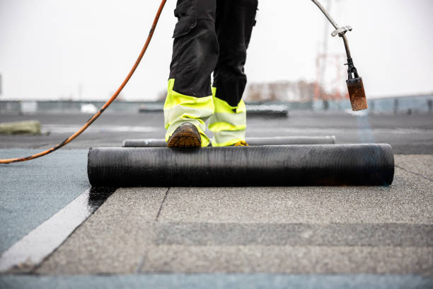 Best Skylight Installation and Repair  in Milan, IN